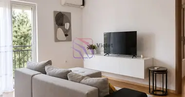 2 bedroom apartment in Podgorica, Montenegro