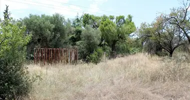 Plot of land in Polygyros Municipality, Greece