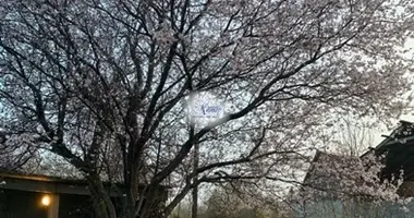 Parcela en Guryevsky District, Rusia