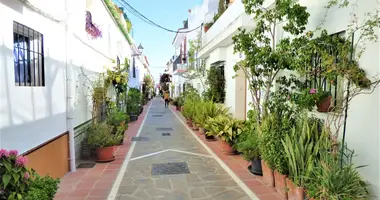 Studio apartment 3 bedrooms in San Pedro Alcantara, Spain