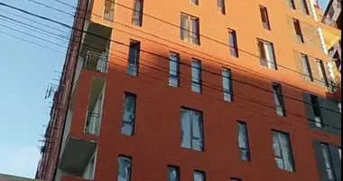 1 bedroom apartment in Tbilisi, Georgia