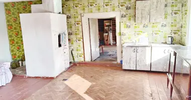 House in Talka, Belarus
