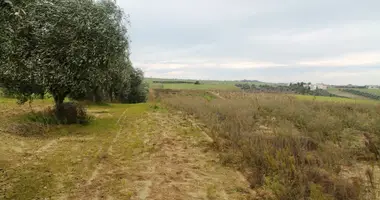 Działka w Thermaikos Municipality, Grecja