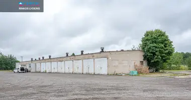 Propriété commerciale 925 m² dans Raudondvaris, Lituanie