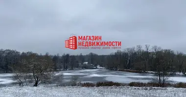 Gewerbefläche 331 m² in Sapotskin, Belarus