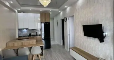 2 bedroom apartment in Tbilisi, Georgia