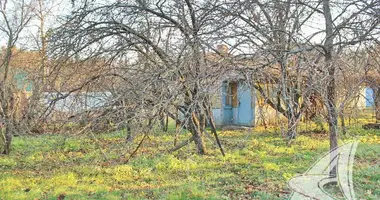 Grundstück in Muchaviecki sielski Saviet, Belarus