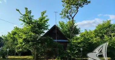 Дом в Речицкий сельский Совет, Беларусь