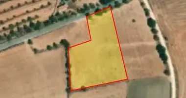 Apartment in Anarita, Cyprus