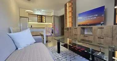 Appartement 2 chambres dans 14 a, Monténégro