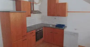 3 room apartment in Graz, Austria