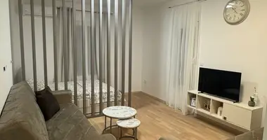Studio apartment in Podgorica, Montenegro