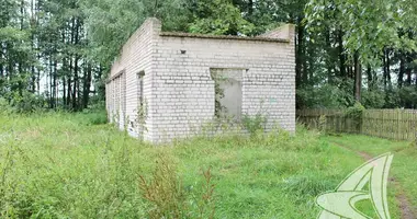 Commercial in Miedna, Belarus