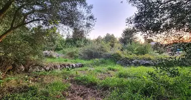 Terrain dans Radici, Croatie