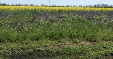 Участок земли в Одесса, Украина