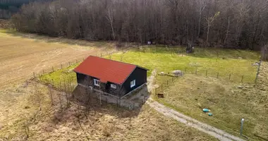 House in Bruzdeilynas, Lithuania