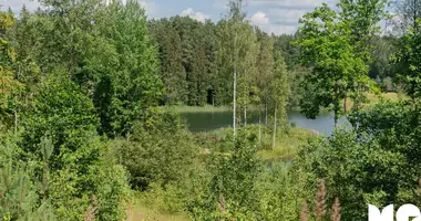 Участок земли в Ligatnes pagasts, Латвия