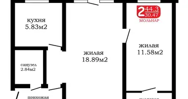 2 room apartment in Minsk, Belarus