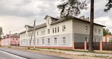 Apartment in Zialiony Bor, Belarus