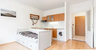 Appartement 1 chambre dans okres Brno mesto, République tchèque