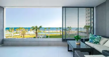 3 bedroom apartment in Torrevieja, Spain