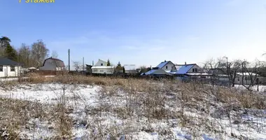 Plot of land in Lahojsk selsaviet, Belarus