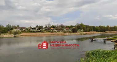 House in Svislach, Belarus