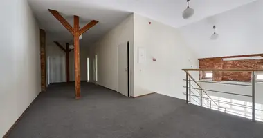 Коммерческое помещение 890 м² в Русне, Литва