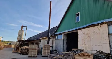 Gewerbefläche 2 203 m² in Kedahnen, Litauen