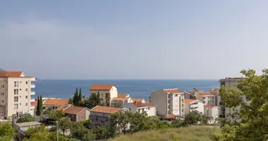 Mieszkanie 2 pokoi w Boreti, Czarnogóra