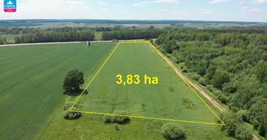 Plot of land in Kertauninkai, Lithuania