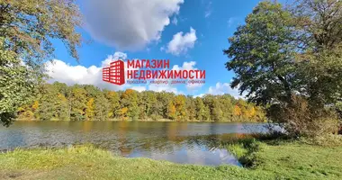 Parcela en Mastouski sielski Saviet, Belarús