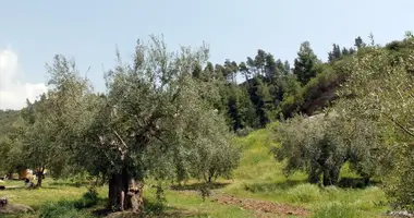 Parcela en Agia Paraskefi, Grecia