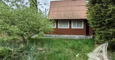 Haus in Cerninski sielski Saviet, Belarus