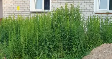 Квартира 2 комнаты в Негорельский сельский Совет, Беларусь