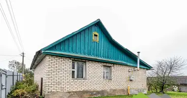 House in Krupicki sielski Saviet, Belarus