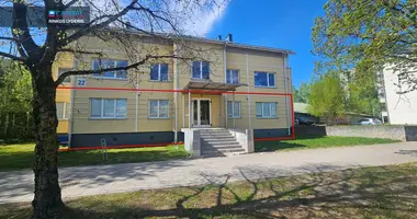 Коммерческое помещение 206 м² в Вильнюс, Литва