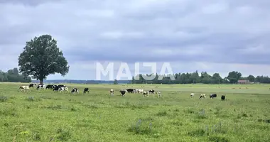 Działka w Kabiles pagasts, Łotwa
