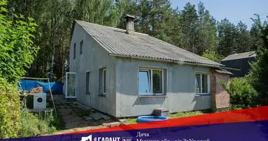 House in Barauski sielski Saviet, Belarus