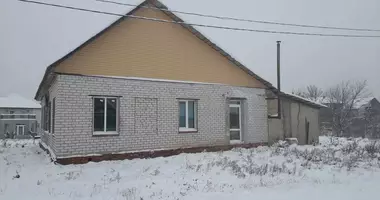 Cottage in Mogilev District, Belarus