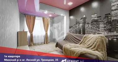 1 room apartment in Lyasny, Belarus