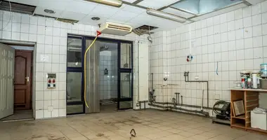 Apartment in Lwowek, Poland