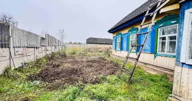 Haus in Hlusa, Belarus
