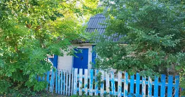 Haus 2 zimmer in Mjadsel, Belarus