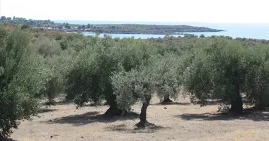 Terrain dans Municipality of Sithonia, Grèce
