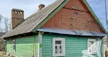 House in Kobryn District, Belarus