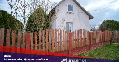 Дом в Демидовичский сельский Совет, Беларусь
