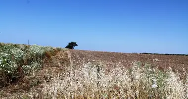 Grundstück in Petralona, Griechenland