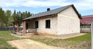 House in Kalodziscanski sielski Saviet, Belarus
