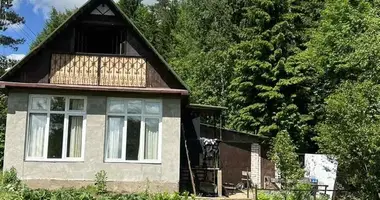 Haus in Astrosycki sielski Saviet, Belarus